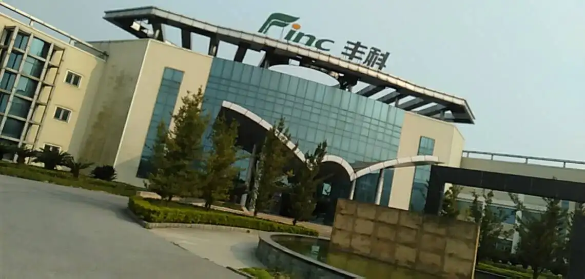 
Long shelf beech mushroom white/brown 