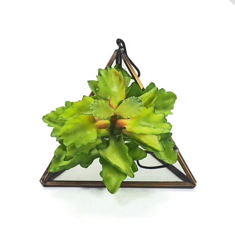 Сделай Сам свадебный подвесной винтажный стеклянный античный латунный геометрический Террариум для растений