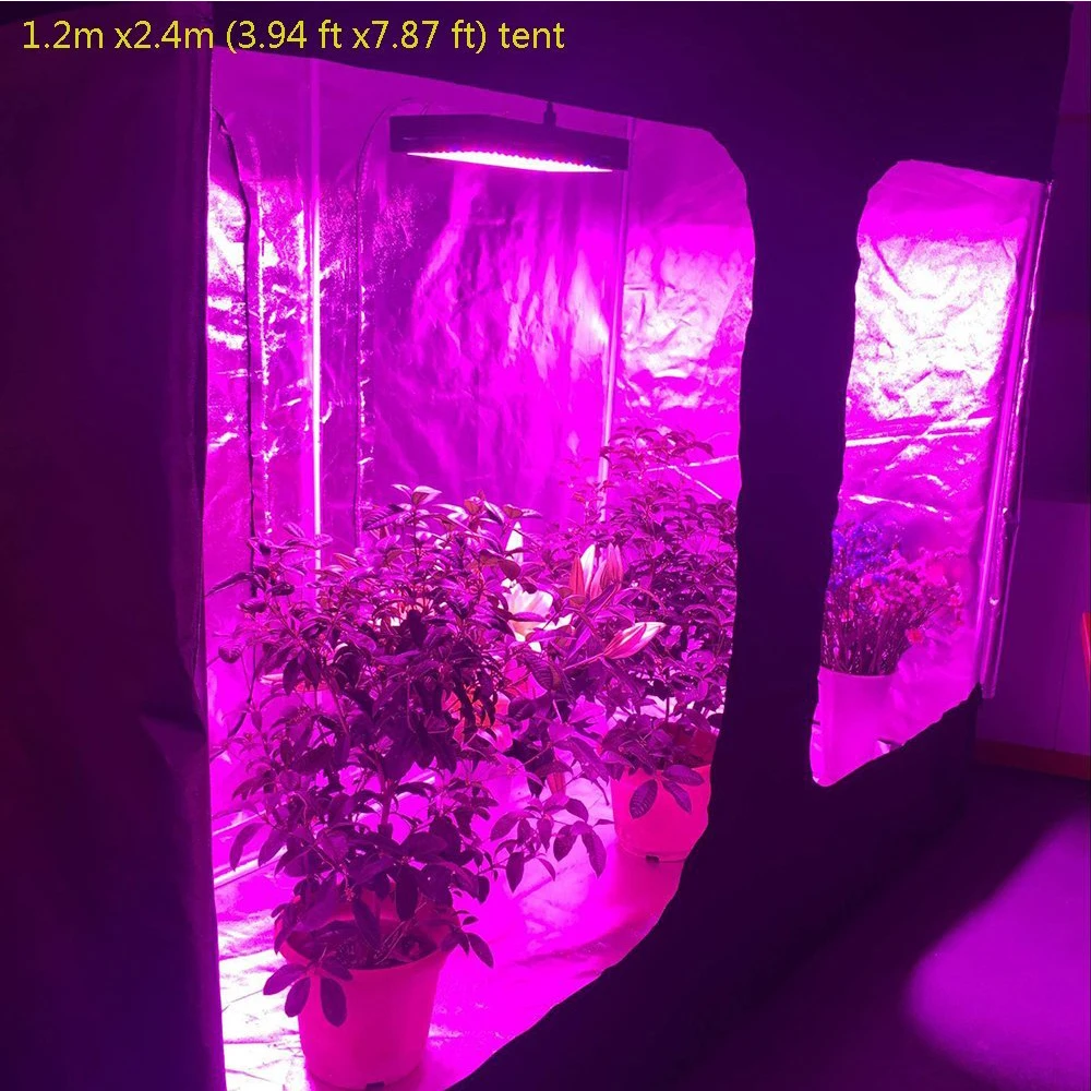 High Efficiency Led Grow Lights 1200W 1500W 1800W 2000W Black Dog Led Grow Light Indoor Plants