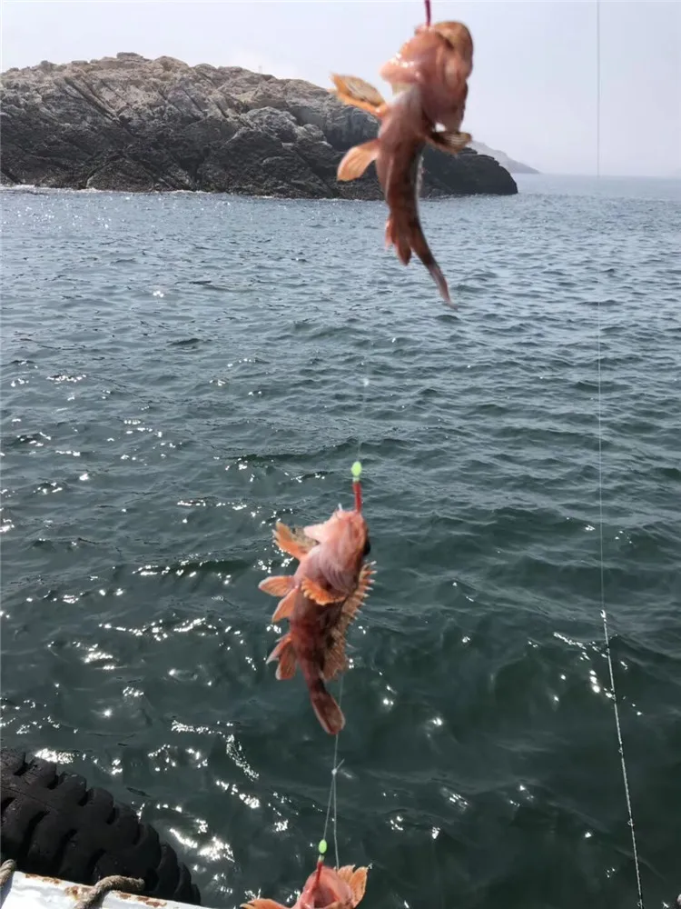 maruseigo golden colour different sizes hairtail high carbon steel fishing hooks