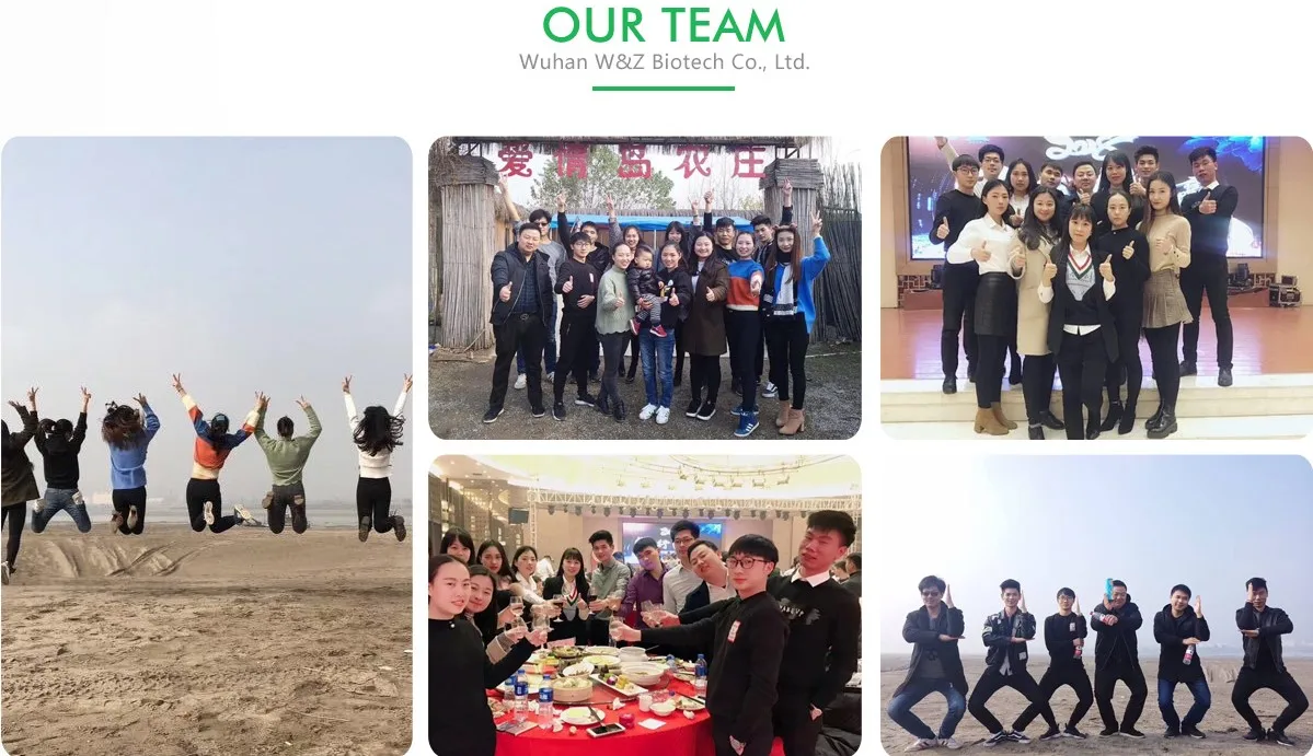 
CAS 537-55-3 Nootropics n-acetyl l-tyrosine 