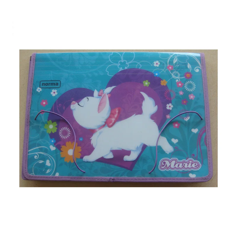 custom printing plastic expanding file