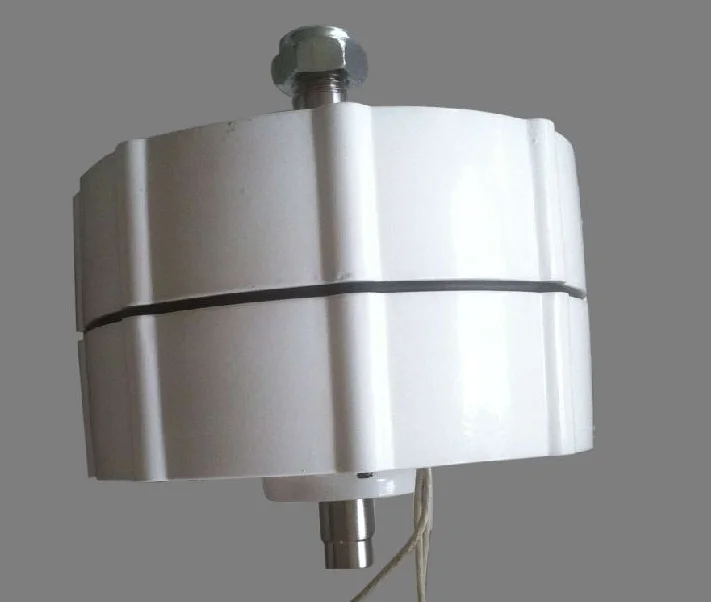 600 watt 12v/24v/48v permanent magnet generator alternator ac