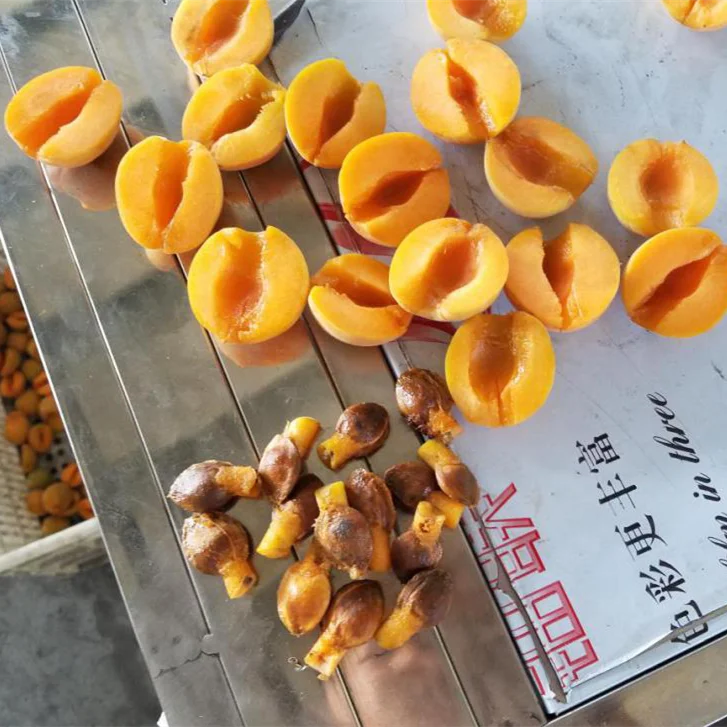 Hot sale apricot pitting machine / coring equipment/pitter