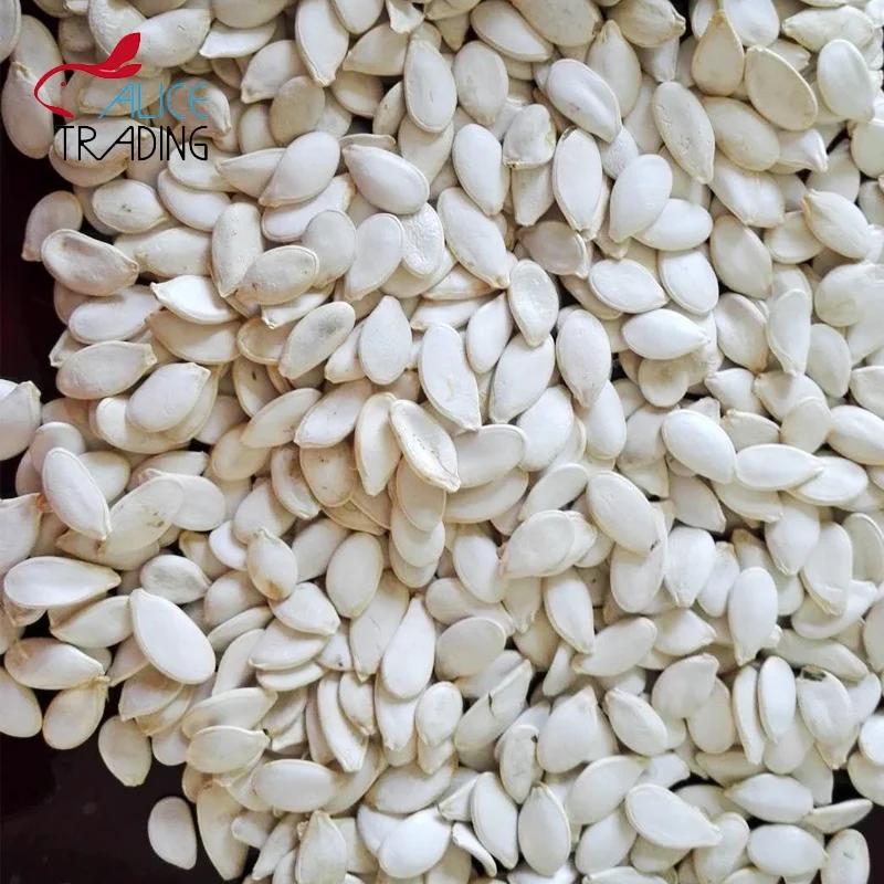 Оптом белоснежные семена тыквы из Китая