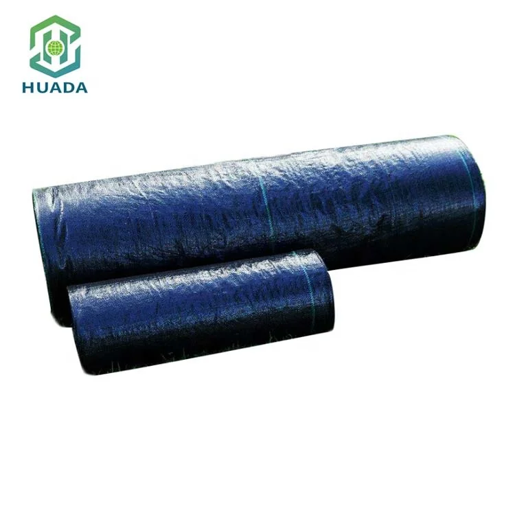 Multi Hole PE Material UV Weed mat Barrier Control Ground Cover Plastic Mulch Layer Agriculture Mulching Film