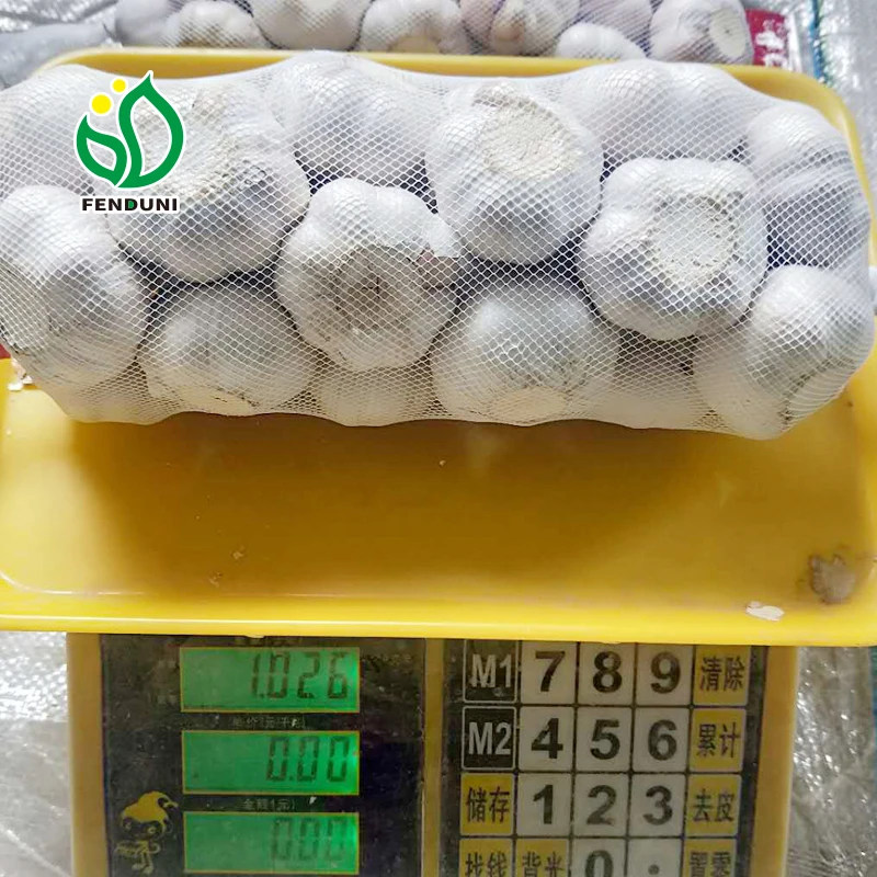 
2019 Garlic Fresh/Alho fresco/Ajo fresco/Ail frais 