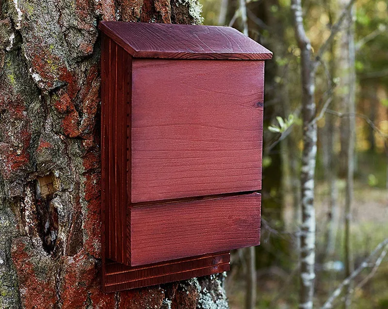 Outdoor Bat House Shelter with Large Double Chamber