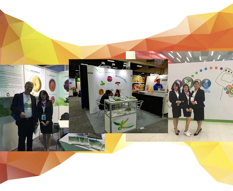 
Astragalus Membranaceus(fisch.)bge. Astragalus Extract Powder 20:1 