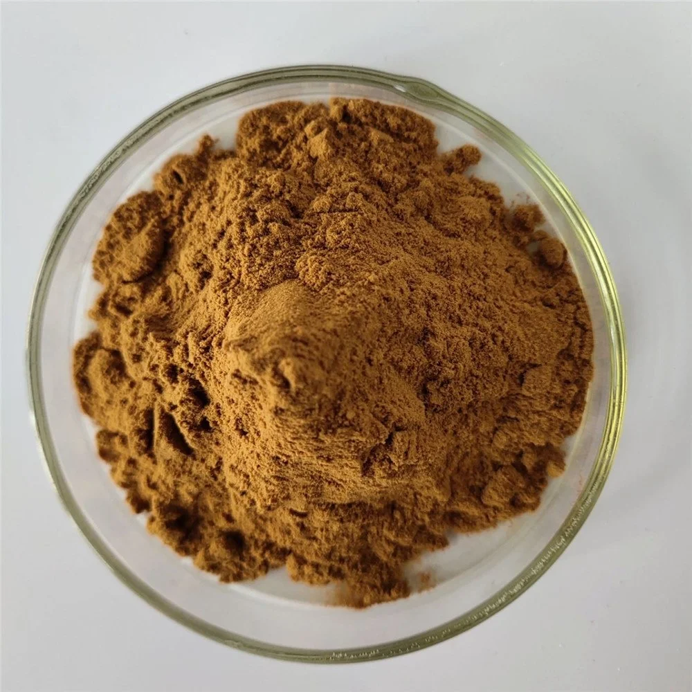 
Wholesale price Damiana Leaf Extract/Damiana extract p.e. / Turnera diffuse p.e. for male enhancement CAS 84696-52-6 
