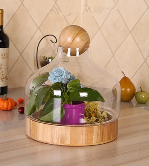 
High Quality Borosilicate Glass Bell Cloche and Glass Dome with Wooden Base flower vase glass 