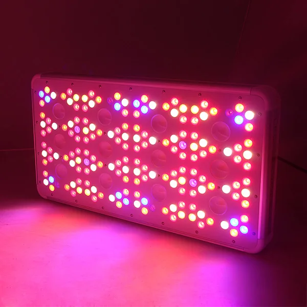 The Best Indoor Plants LED Grow Light CF Grow 100W 120W - 1200W 1600W Full Spectrum LED Grow Light Factor Direct Sale