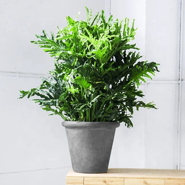 Fiberclay Fiber Cement Round Clay Pots