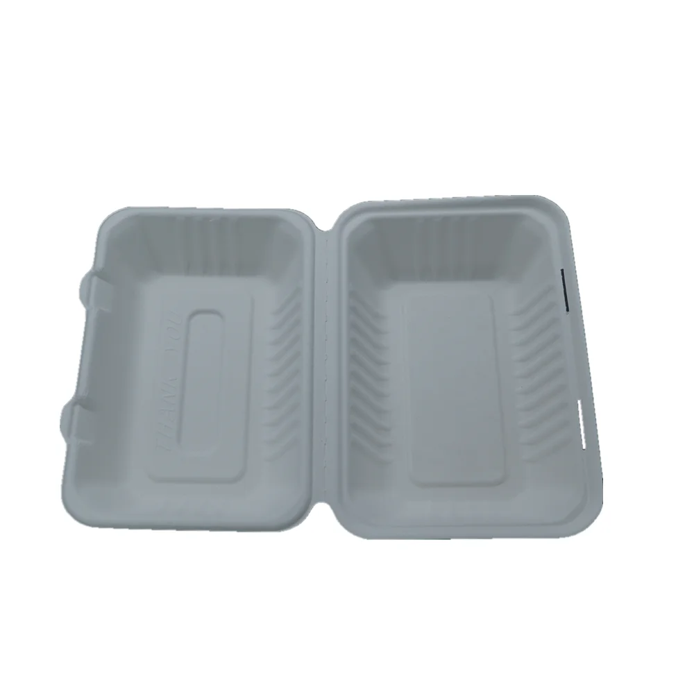 Take away biodegradable freezer safe lunch box