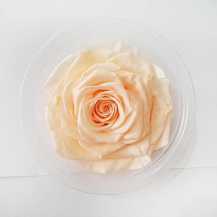 Best Price 9-10cm White Fresh Rose Head Eternal Flower In Box For Wedding Gifts For Guests