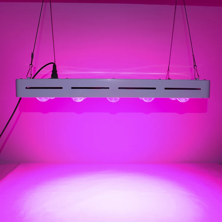 Greenhouse Lighting Commercial Optic Full Spectrum LED Plant Grow Light 1000W