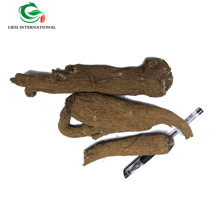 Травы для дизентерийного использования auckсоставлян костус