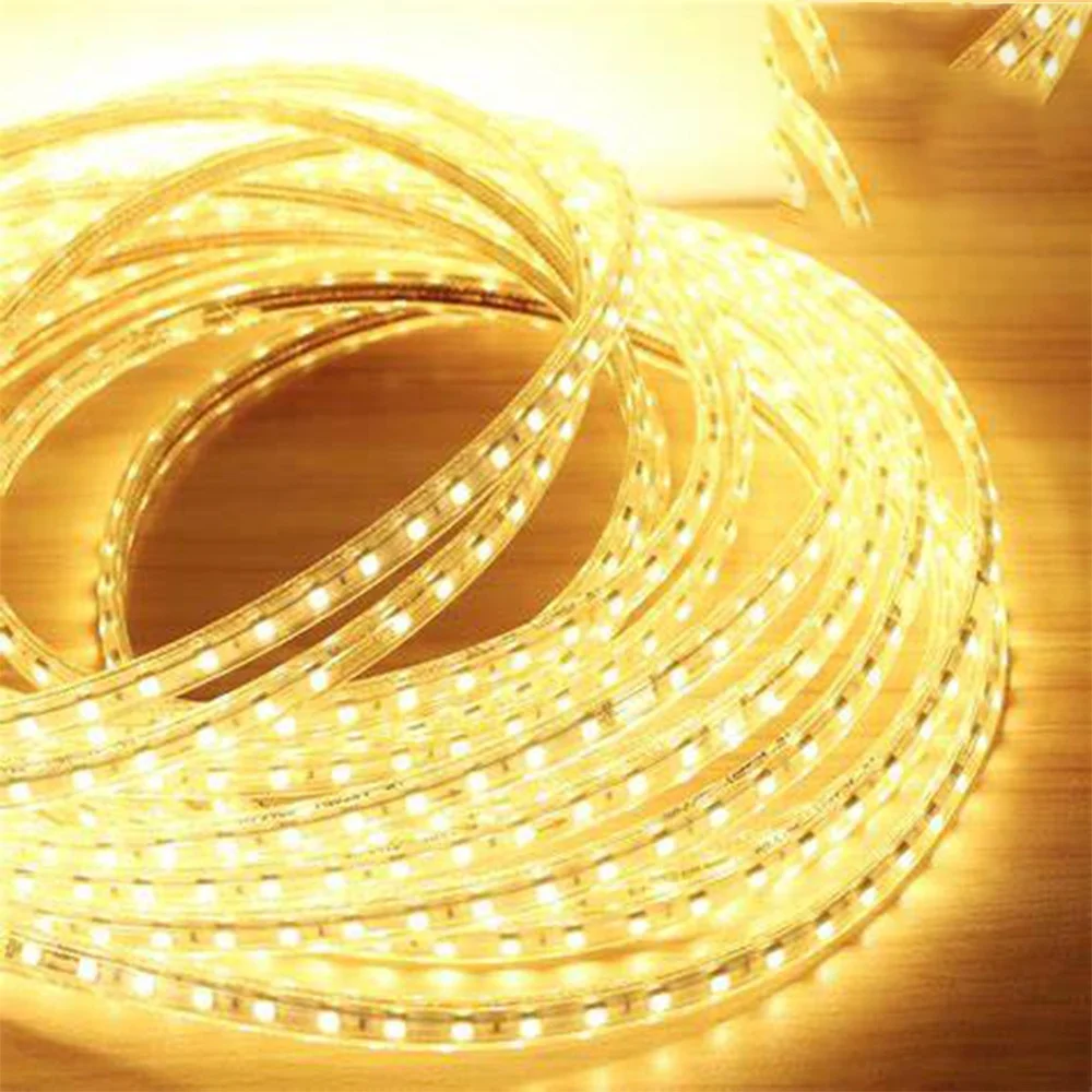 12W 24W LED Strip 60 LED Per Meter IP20 RGB LED Led Strip Light