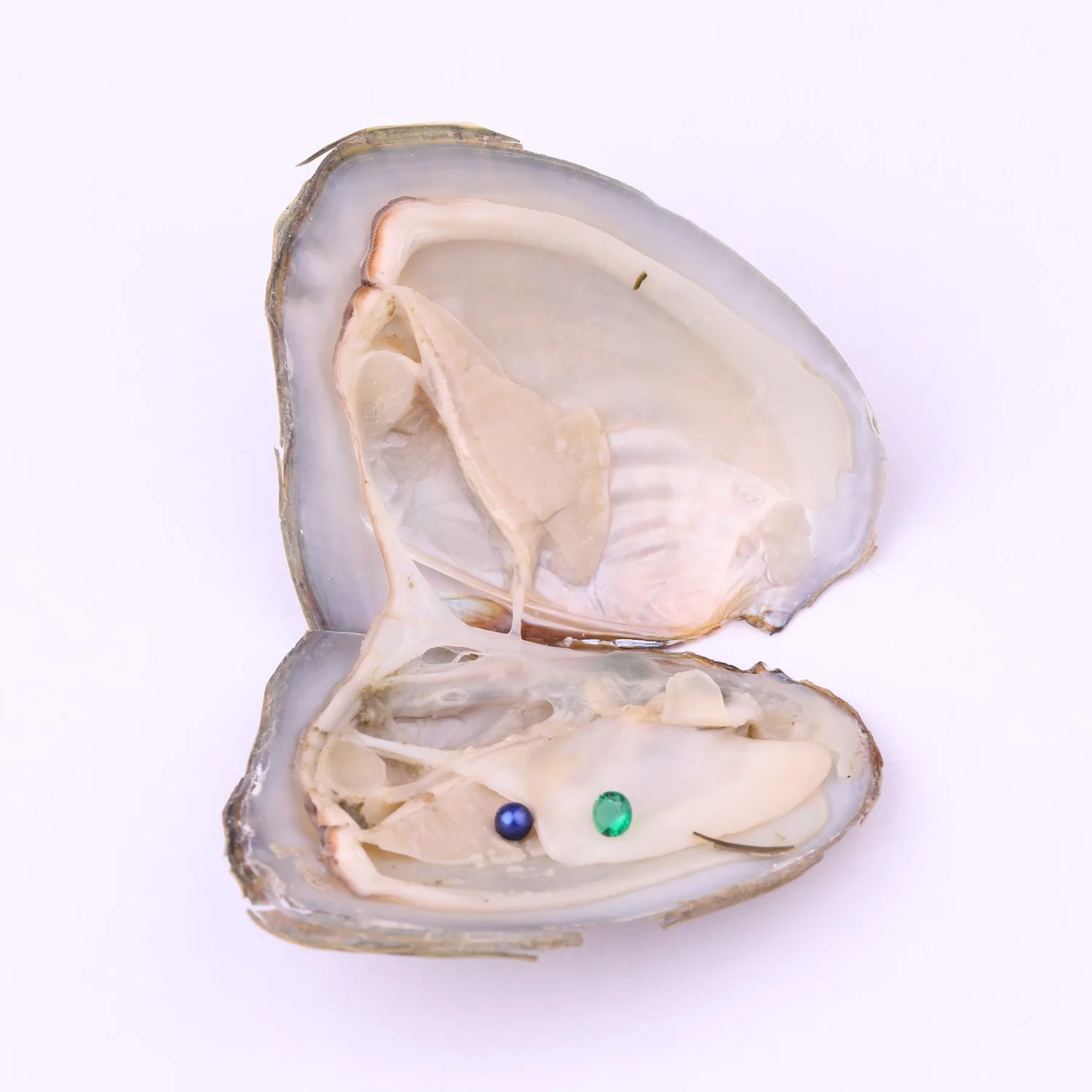 AAA+ grade 3-4mm Mini Natural pearl with 4mm gemstones in Freshwater Oyster Shells