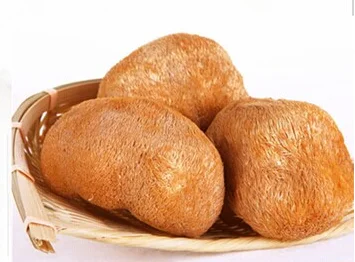 
lion mane extract powder/hericium erinaceus extract 