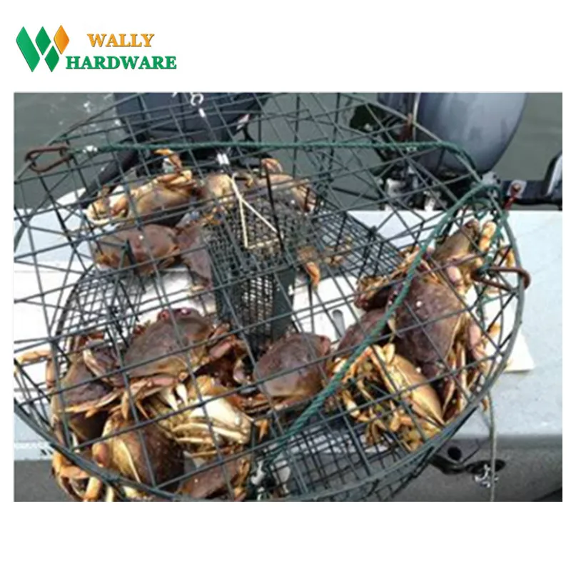 China factory high quality hot dipped galvanized crab fish lobster trap chicken wire mesh roll