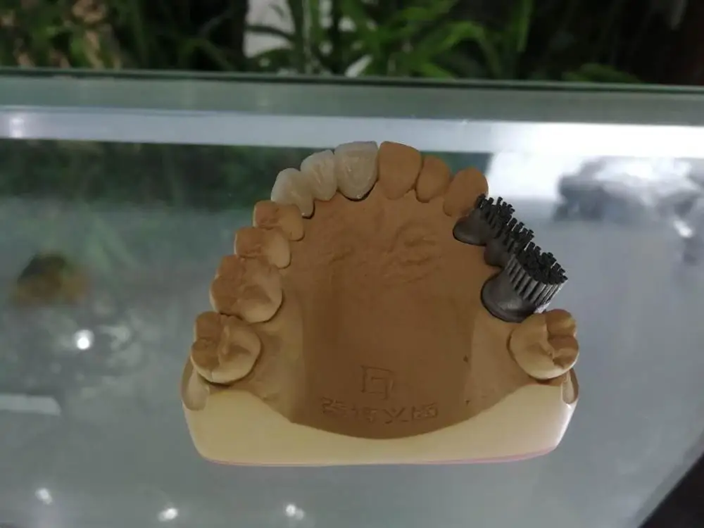 dental consumables  porcelain false teeth
