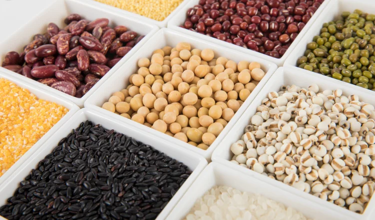 
Solar Energy Heat Pump Dryer for drying Fish Seafood Fruit Vegetable Food 