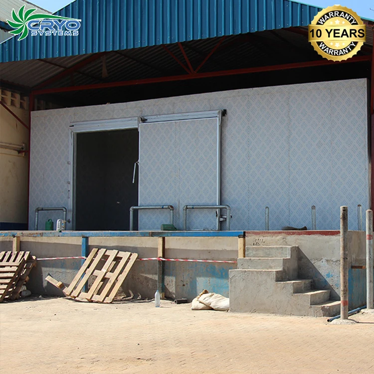 Vegetables Fish Food Quick Shock Freezer Equipment for Black Rose Plants Lobster Frozen Chicken Meat