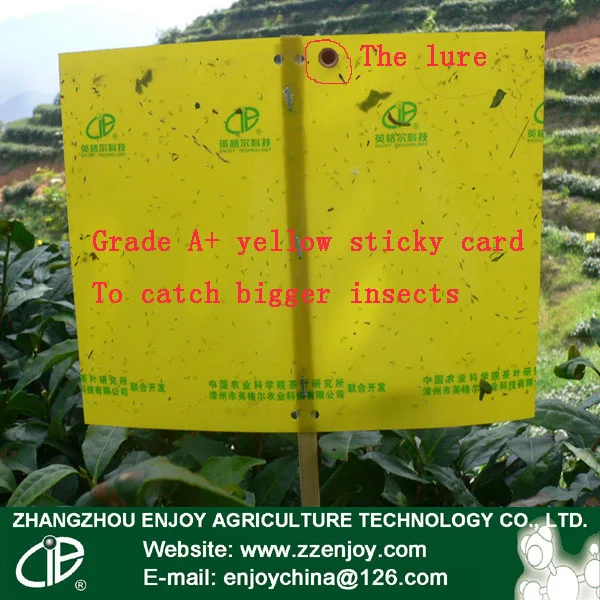 Пластиковые Желтые Липкие летающие ловушки, лидер продаж из Китая