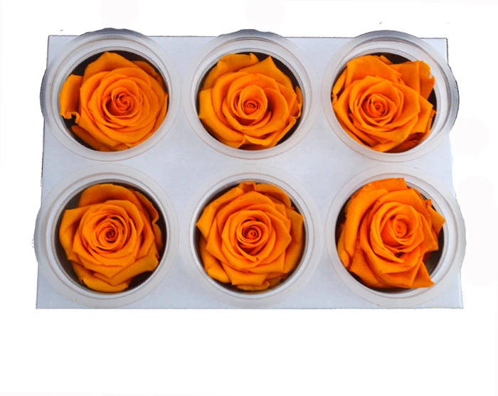 High Quality Preserved Flower Rose Bud Artificial Flower for Florist Supplies