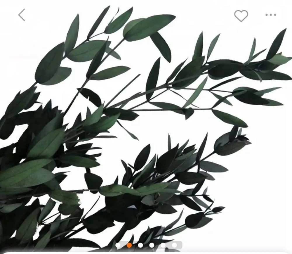 Eucalyptu leaf preserved flower