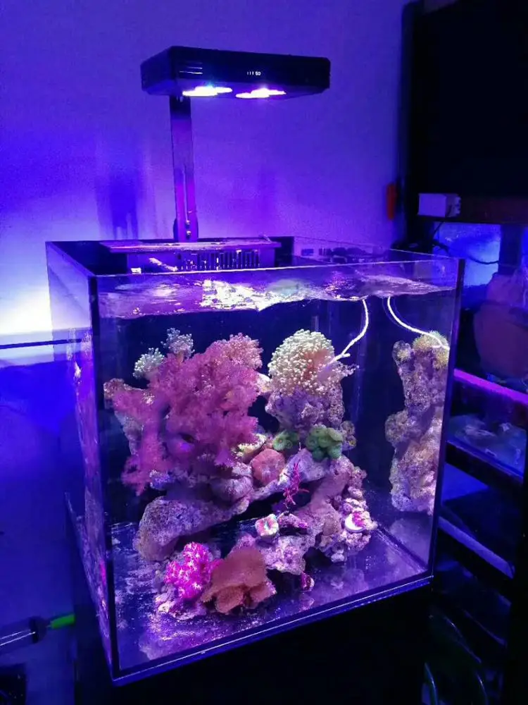 
Wholesale price Factory Wholesales Aquarium Saltwater Light for Coral Growth Fish Tank 