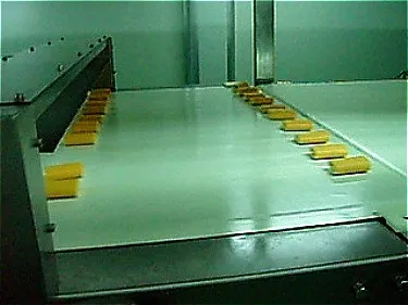 Skywin Industrial Chocolate Coating Machine Enrobing Line for Biscuit Cookies Cake