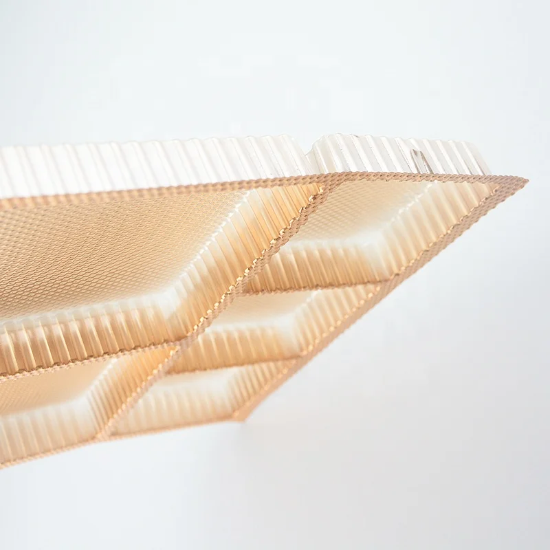 food grade plastic food compartment tray for mooncake