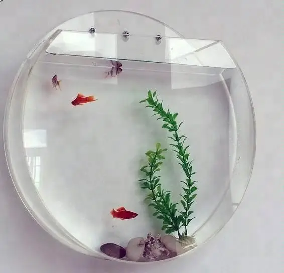 Wall hanging acrylic aquarium