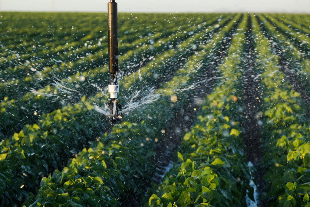 
2021 best sales Dalian Rainfine Central Pivot Farm Irrigation System Used in Large Field 