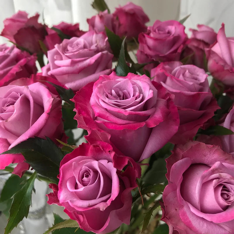 
Fresh cut flowers buy flowers in bulk birthday flower roses 