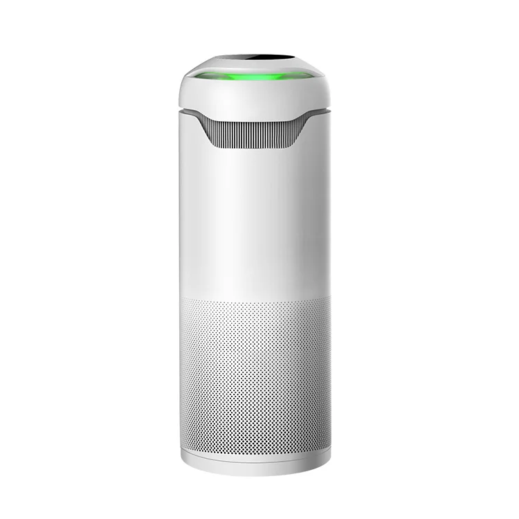 New products pm2.5 ionizer air purifier anion Smart Air Purifier  for hot selling for home
