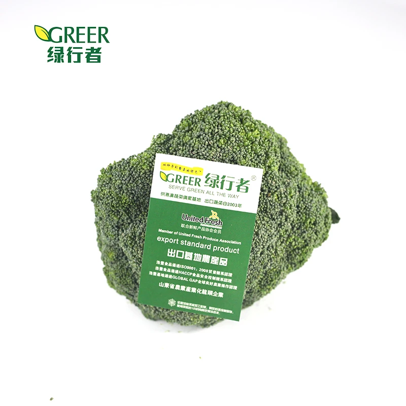 Broccoli fresh broccoli fresh vegetables