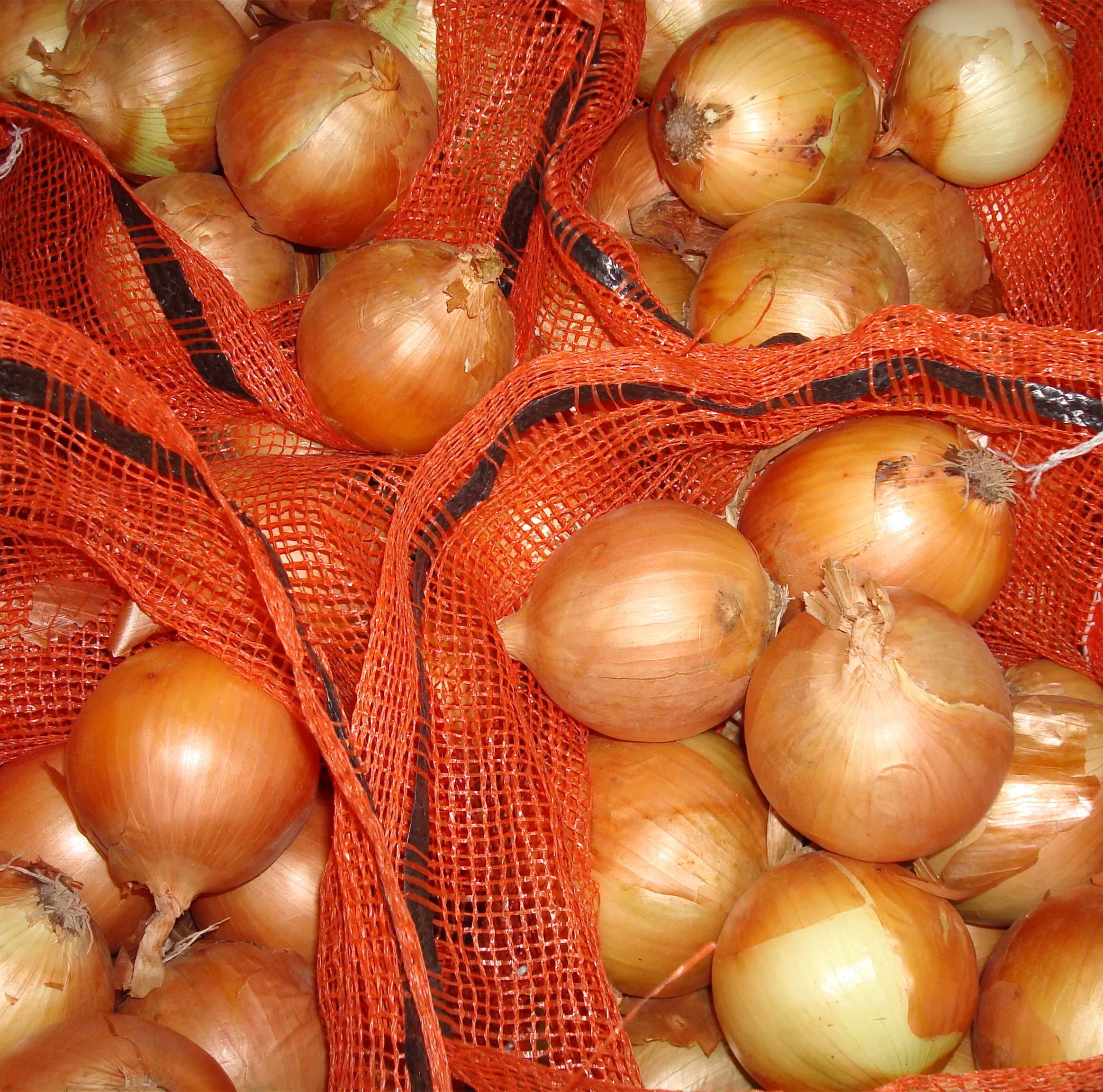 fresh chinese onions on promotion