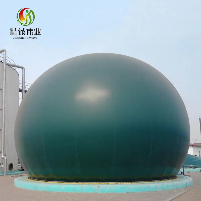 
biogas plant complete set equipments 