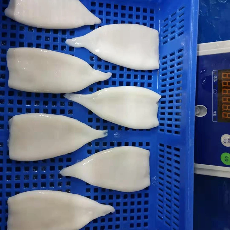 wholesale Fresh frozen squid for sale squid supplier squid tube