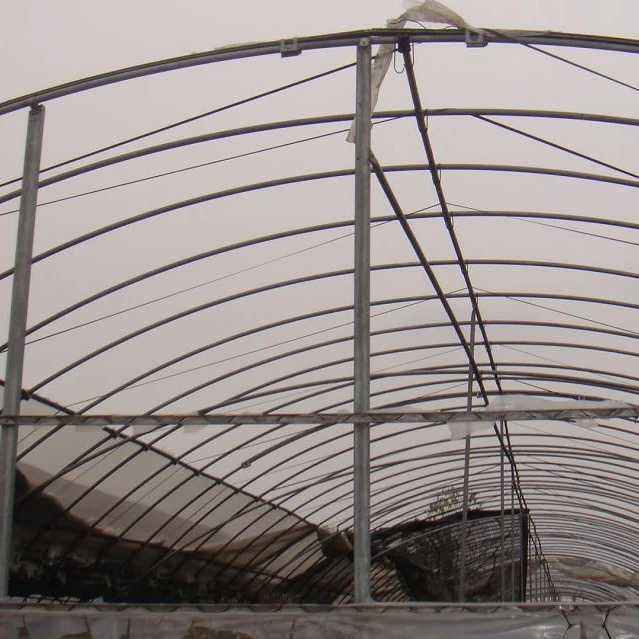 single span tunnel  greenhouse with  plastic film