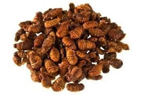 Dried Silkworms / Silkworm Pupae