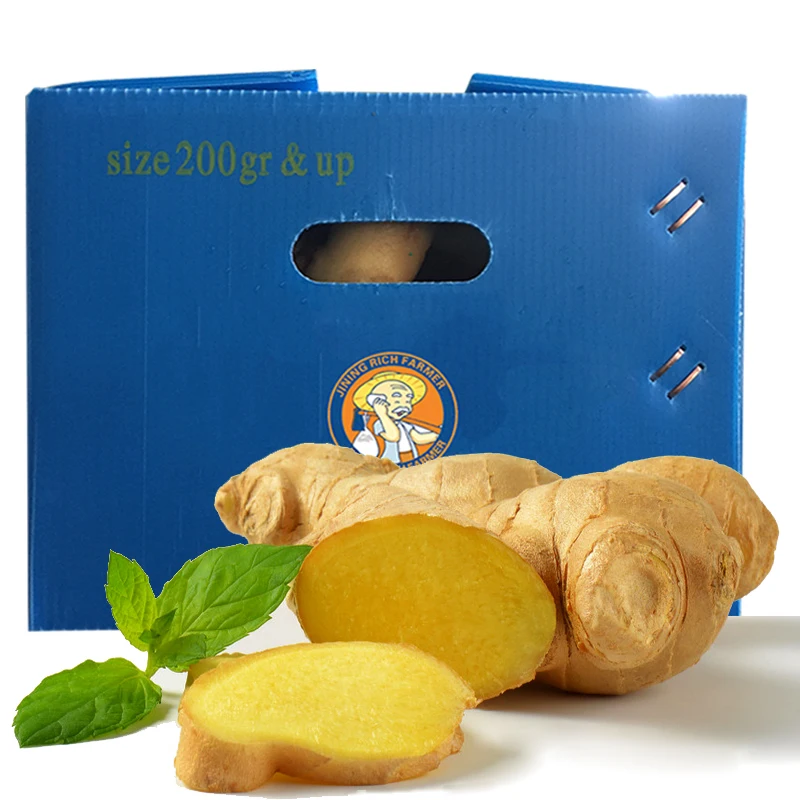 
Chinese fresh mature ginger from shandong price in usa 