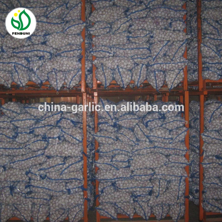 
China/Chinese Normal white/Red/Purple Garlic 2021 