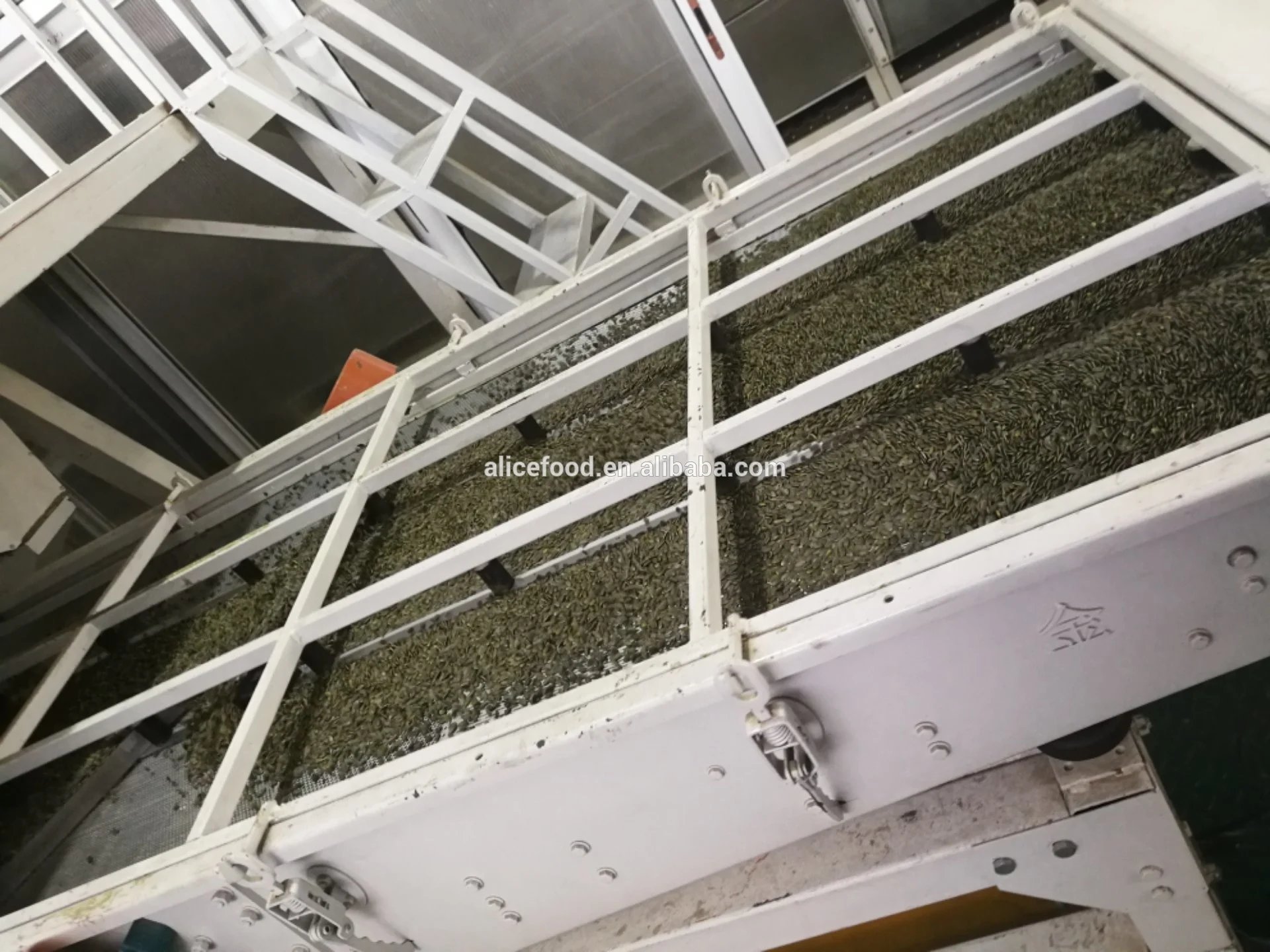 Hot sale pumpkin seeds kernels with good price