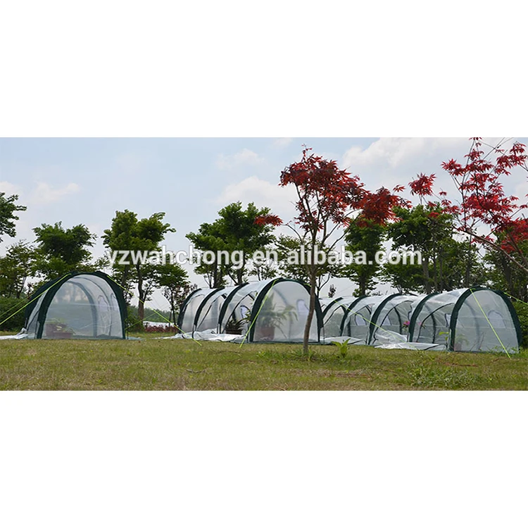 
Pop-up Transparent Pvc Mini Green House For Plants Garden Greenhouse Pop-up transparent PVC cover Garden bug insect netting for Plants and flowers