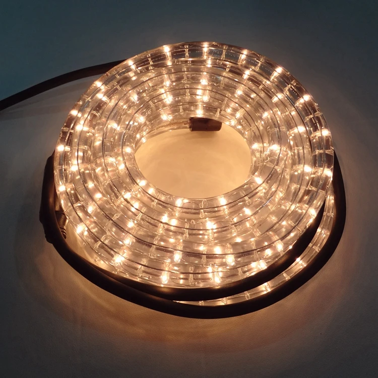 2020 PVC Super Bright  Quick Connect Wire New Style Led Rope Light With Remote Neon Rope Light Dmx Controlled Rope Light