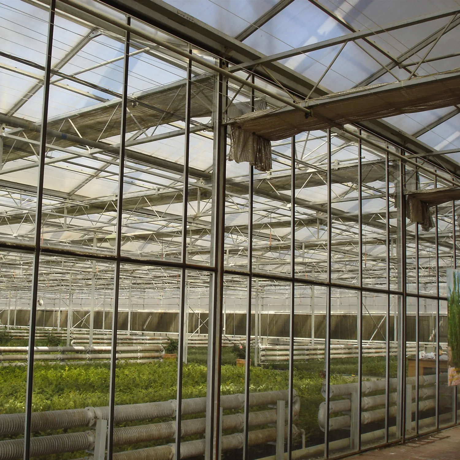 Economical Poly tunnel Plastic Film Agricultural Greenhouse Morocco for Vegetable Planting